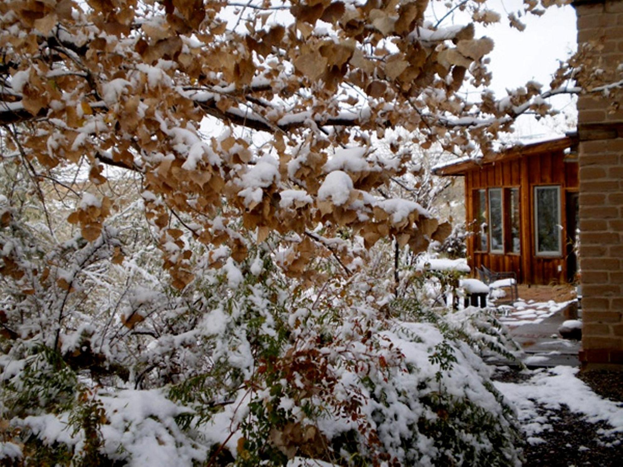 Silver River Adobe Inn Bed And Breakfast Farmington Extérieur photo